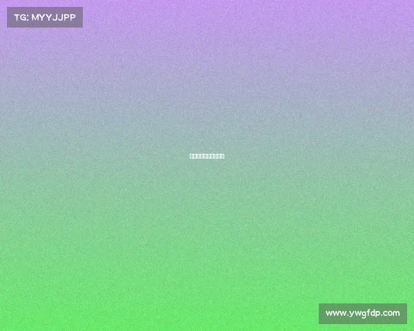 中国鸽子最大赛事排名