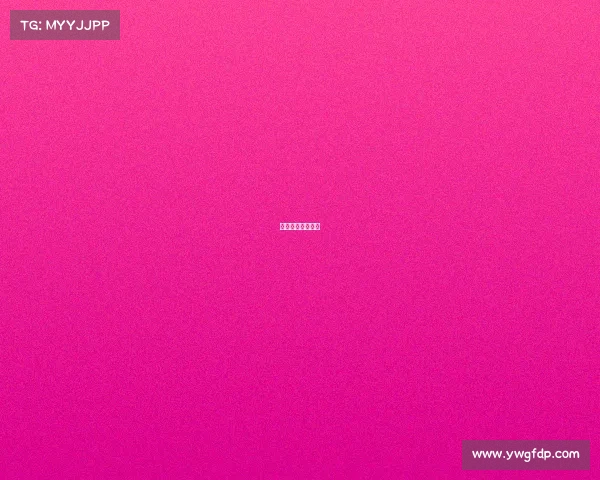 宁波越野赛事官网