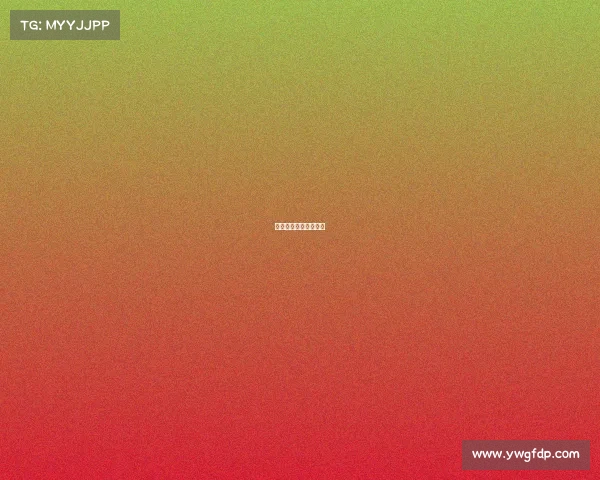 世界顶级综合格斗赛事