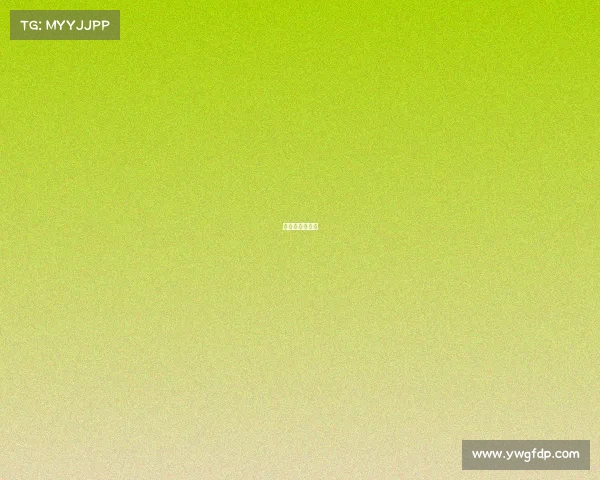 中国飞镖公开赛