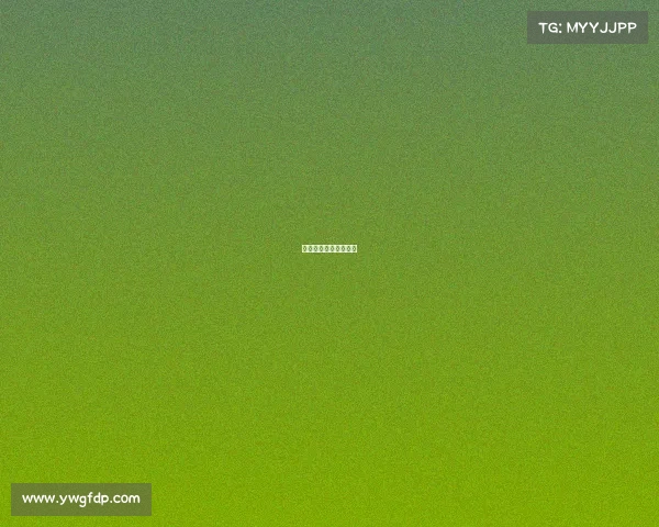 体育赛事组织审批流程