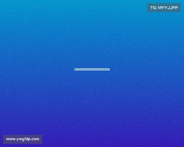 围棋赛事深度解析全球顶级比赛精华与文化内涵全览