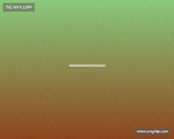 赛事登记员全面解析:职责技能挑战与未来发展路径详解